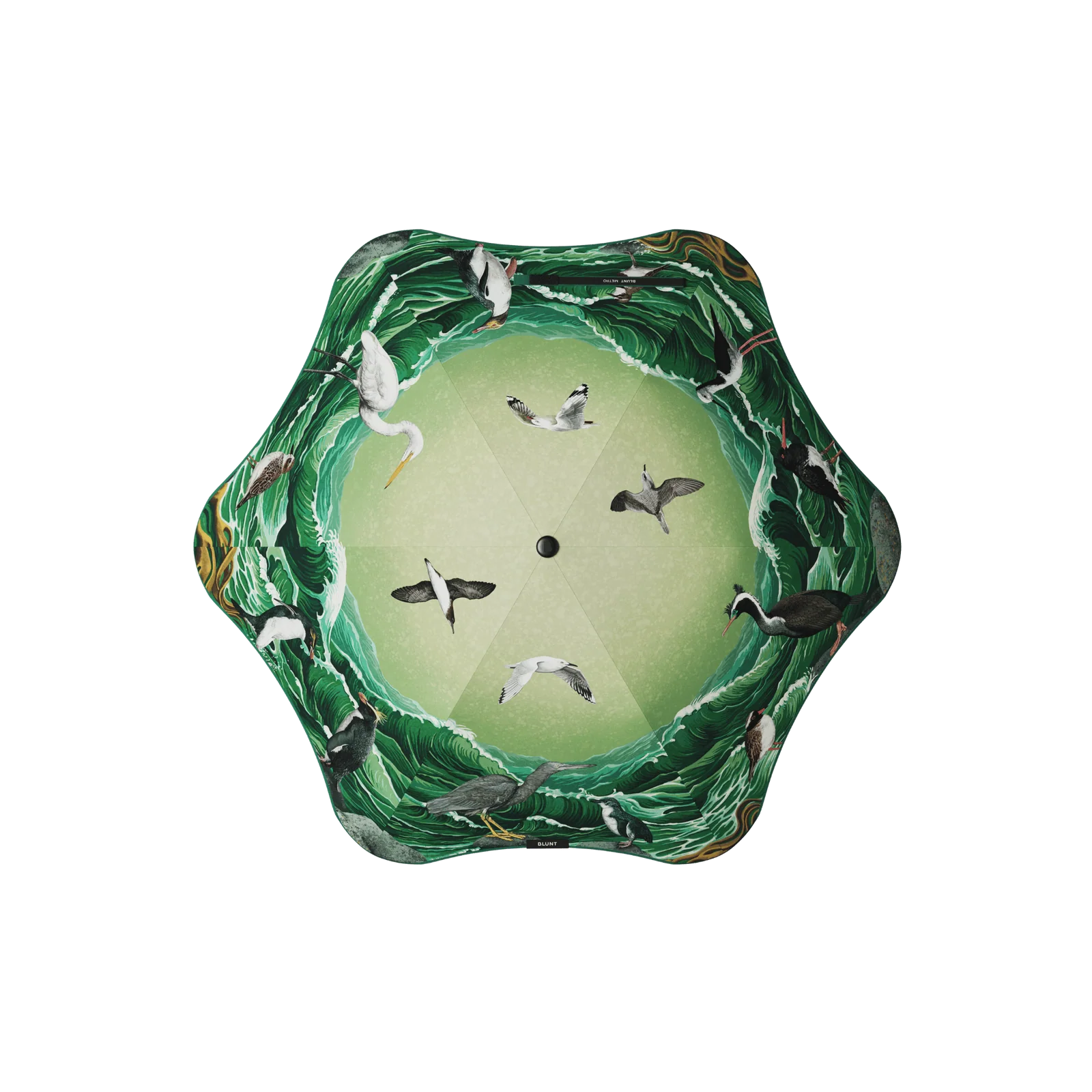 Blunt Metro Umbrella x Forest & Bird