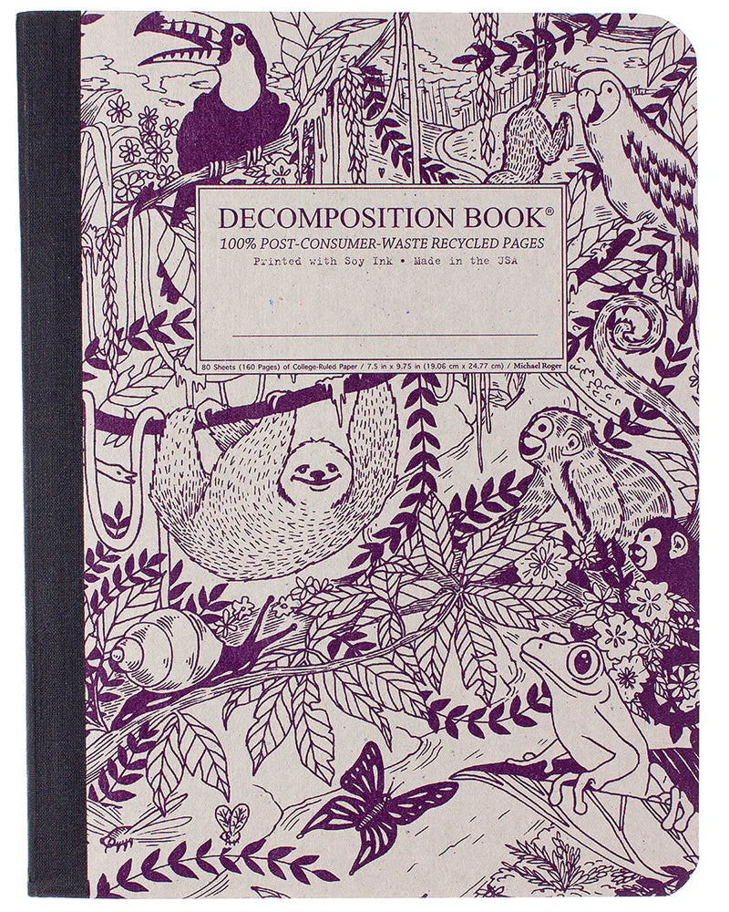 Decomposition Large Rules Notebook - Rainforest