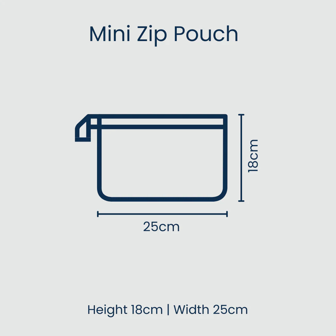 Project Ten Mini Zip Pouch - Multi Stripe