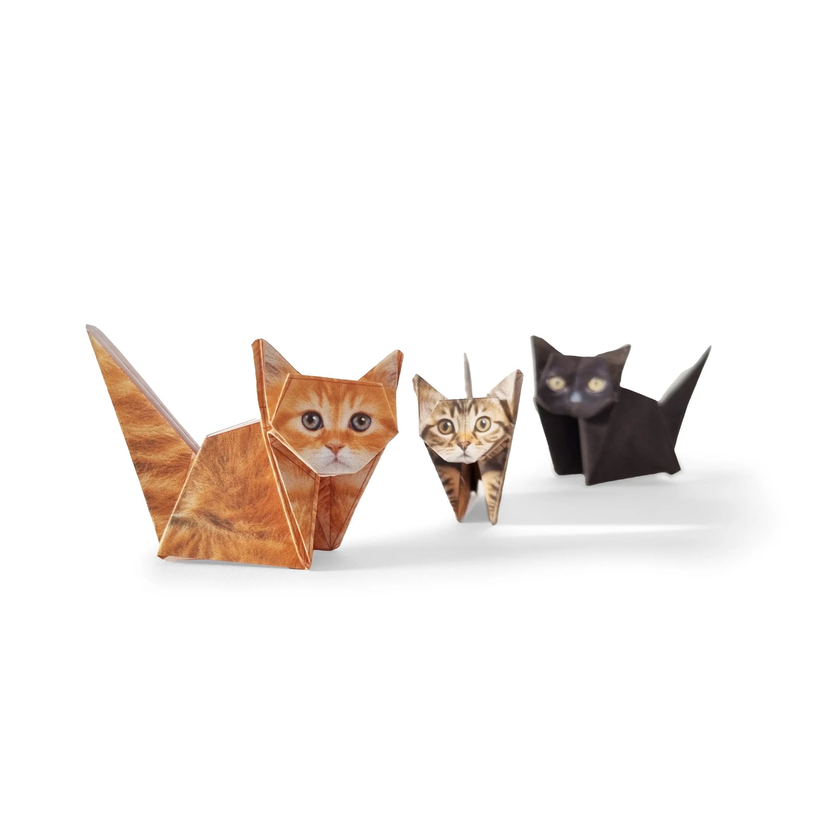 Paper Cats Fold Your Own Origami Cats