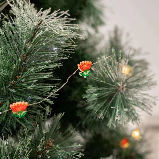 Pōhutukawa String Lights