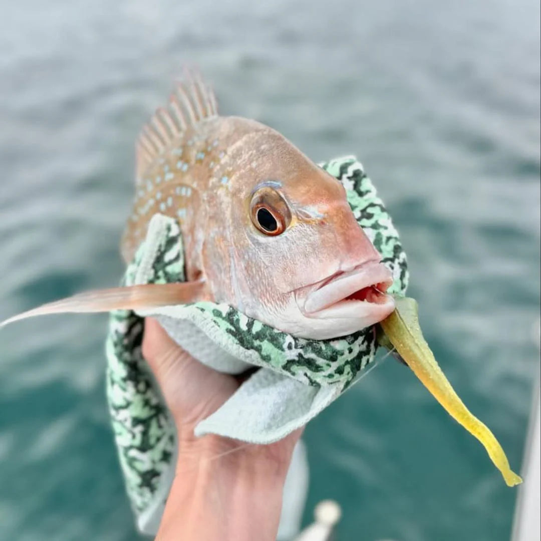 Tail Tag Fishing Identifying Tags