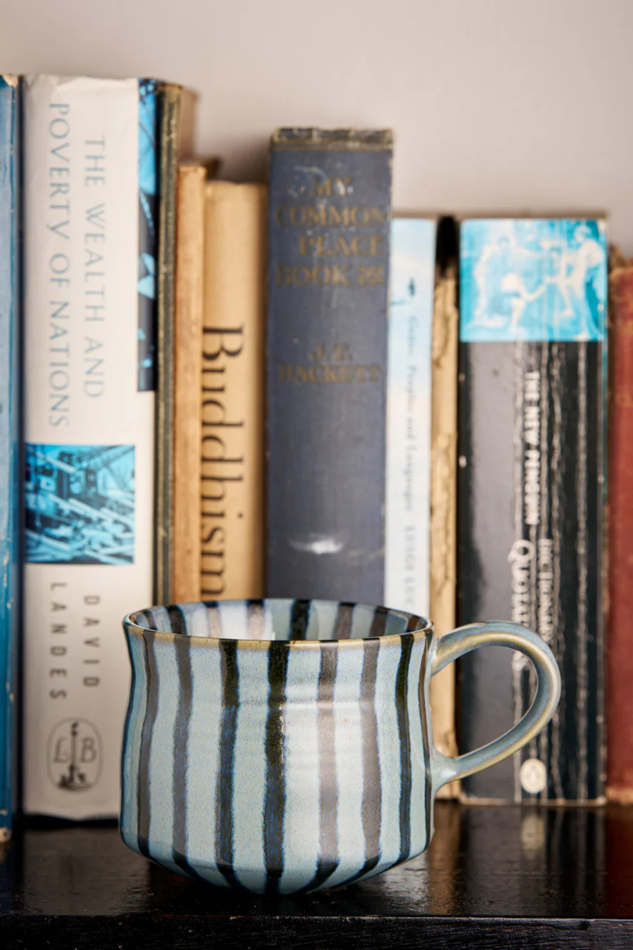 Robert Gordon Jude Mug - Tapestry