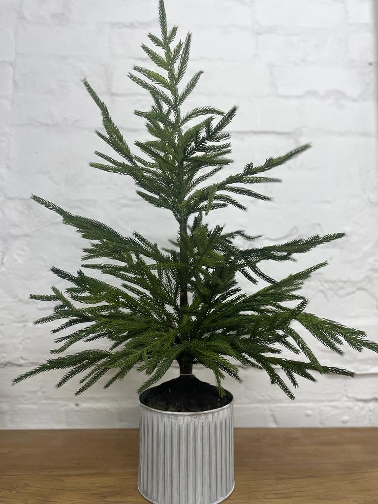 Mini Potted Pine in Galvanised Pot