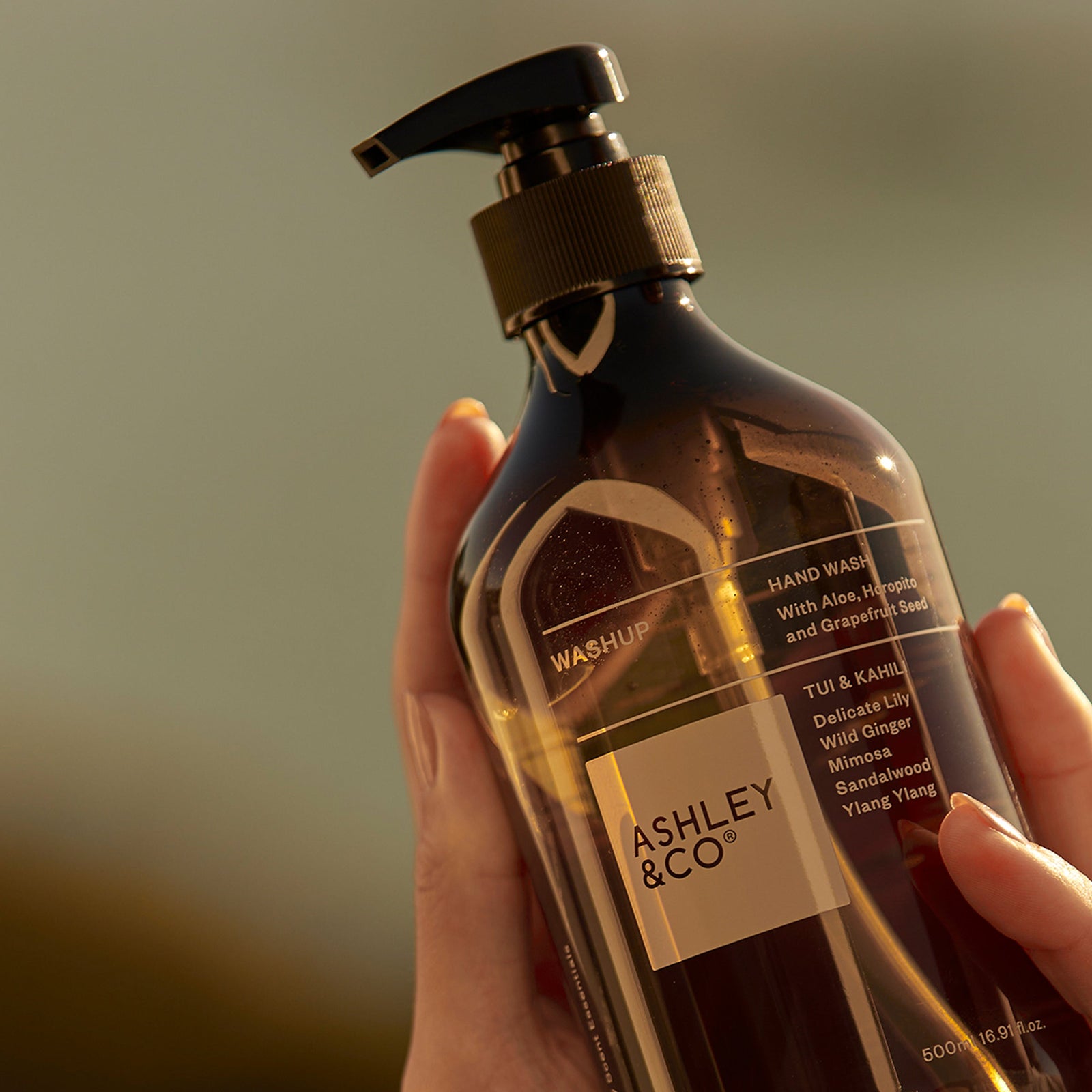 Ashley & Co Washup  Hand Wash 500ml
