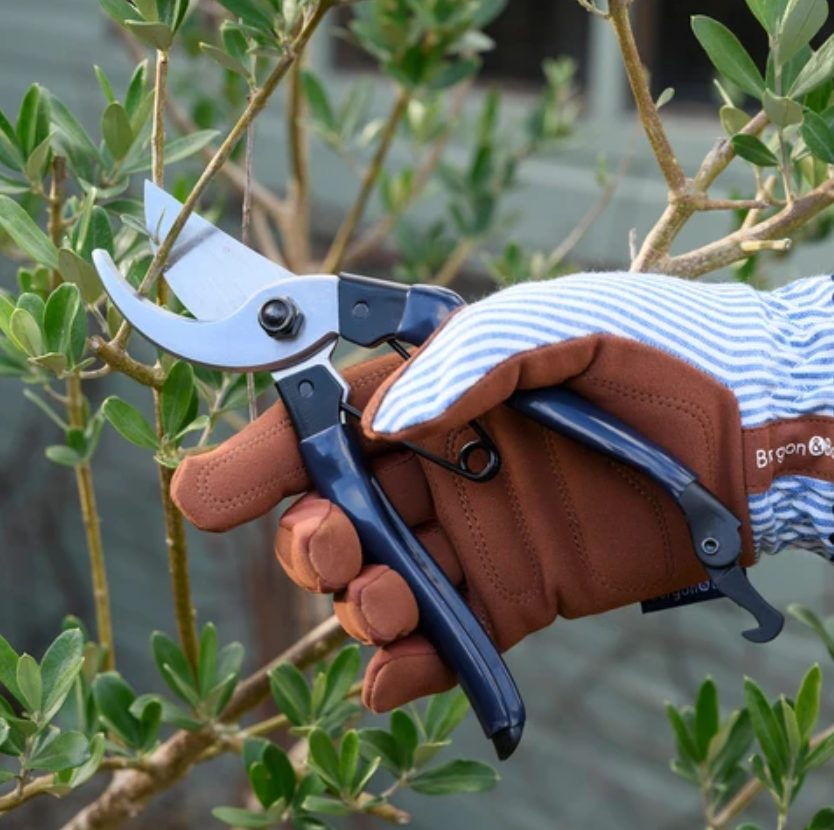 Burgon & Ball Collectors Secateurs - Navy