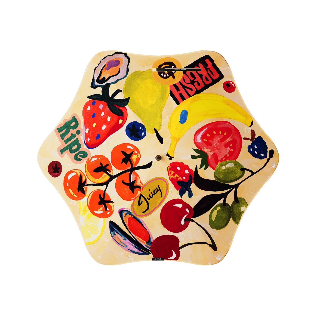 Blunt Classic Umbrella Limited Edition x Studio Bon