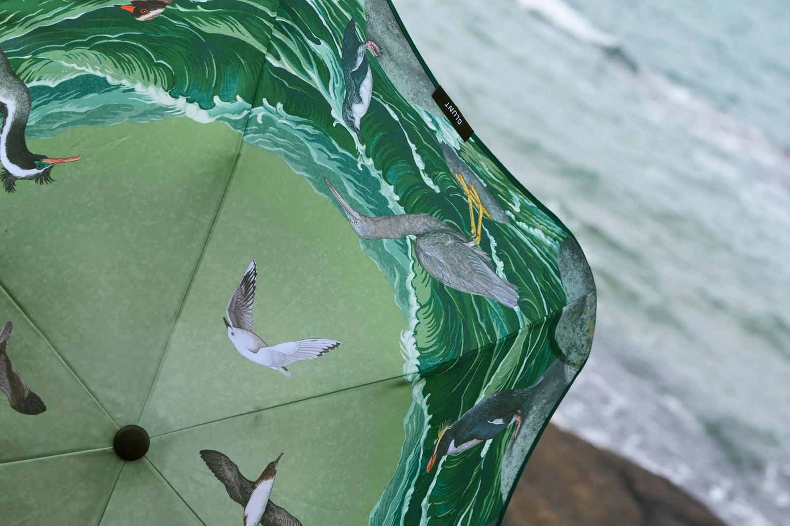 Blunt Metro Umbrella x Forest & Bird