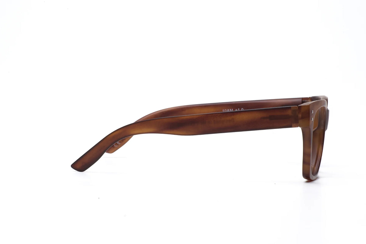 Daily Eyewear 10am Reading Glasses - Havana