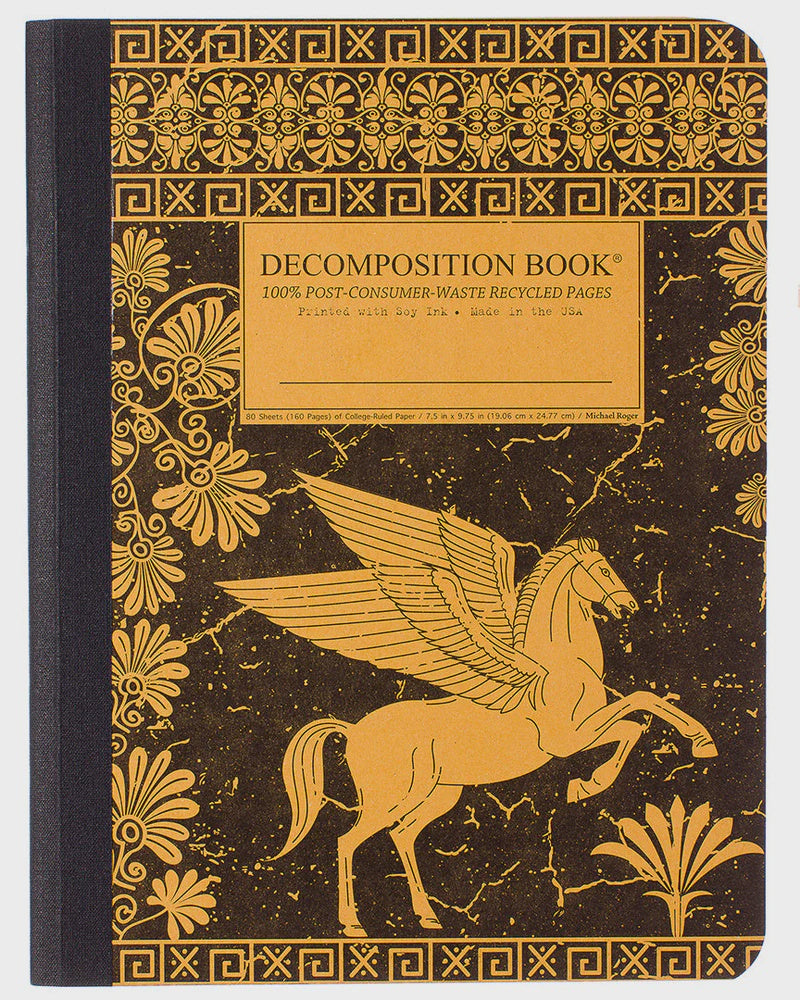 Decomposition Large Ruled Notebook - Pegasus