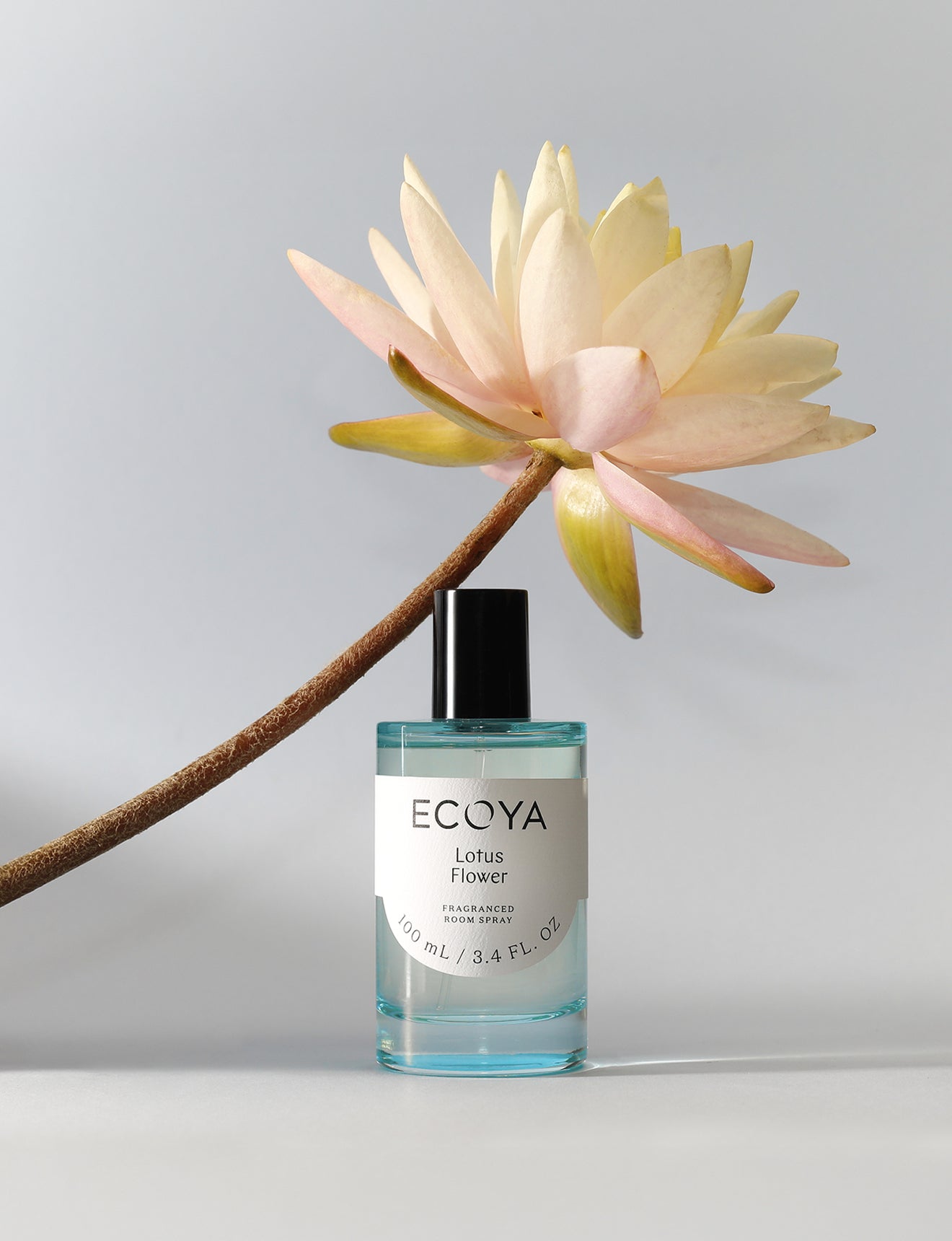 Ecoya Room Spray 100ml