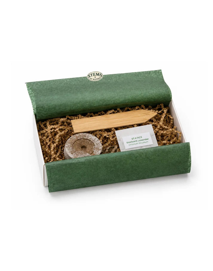 Everyday Wonders Seed Kits - Calendula