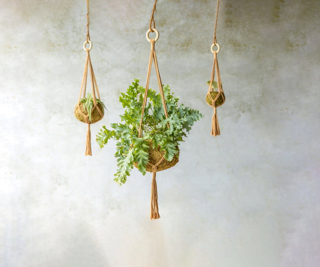 macrame plant hanger nz Esschert Design Macrame Plant Hanger