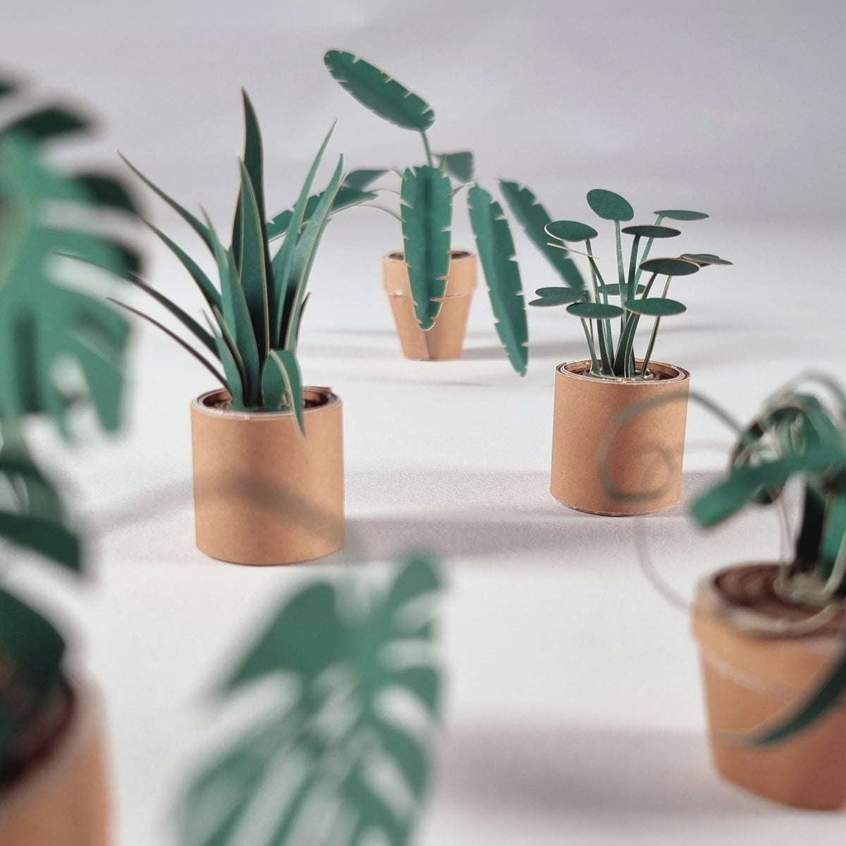 Paper Plants Make a Maintenance Free Desk Garden