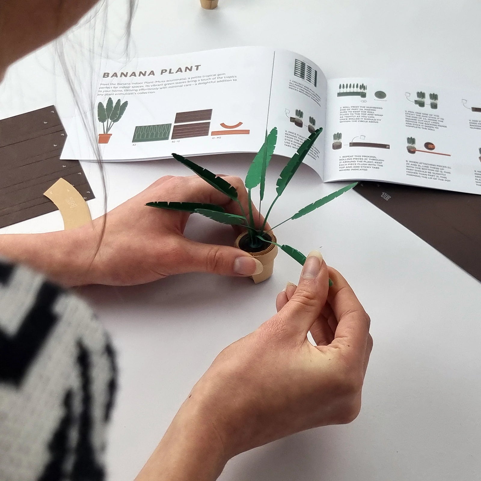 Paper Plants Make a Maintenance Free Desk Garden