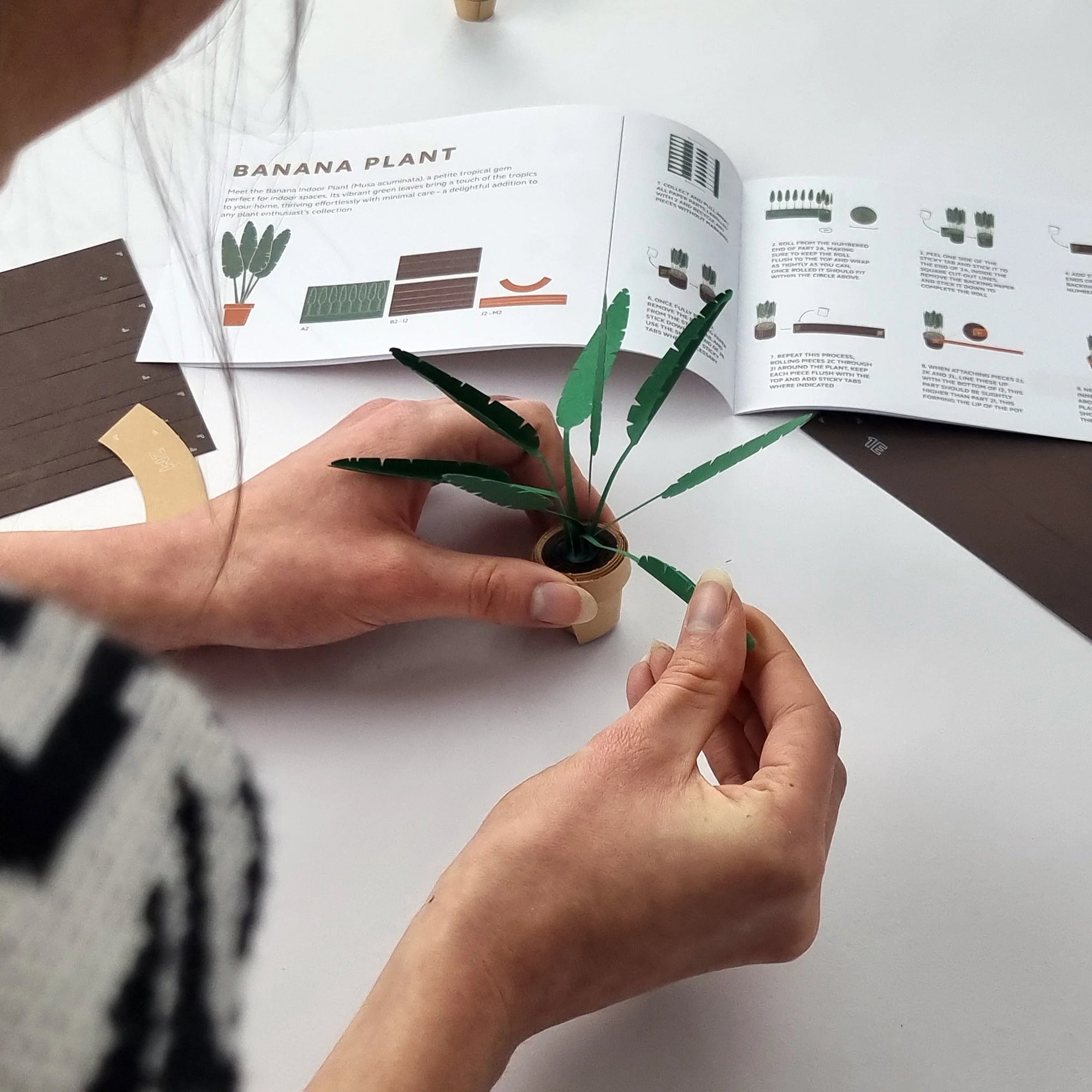 Paper Plants Make a Maintenance Free Desk Garden