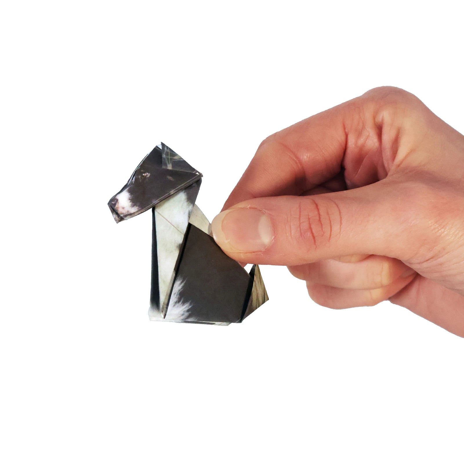 Paper Pups Fold Your Won Origami Pups