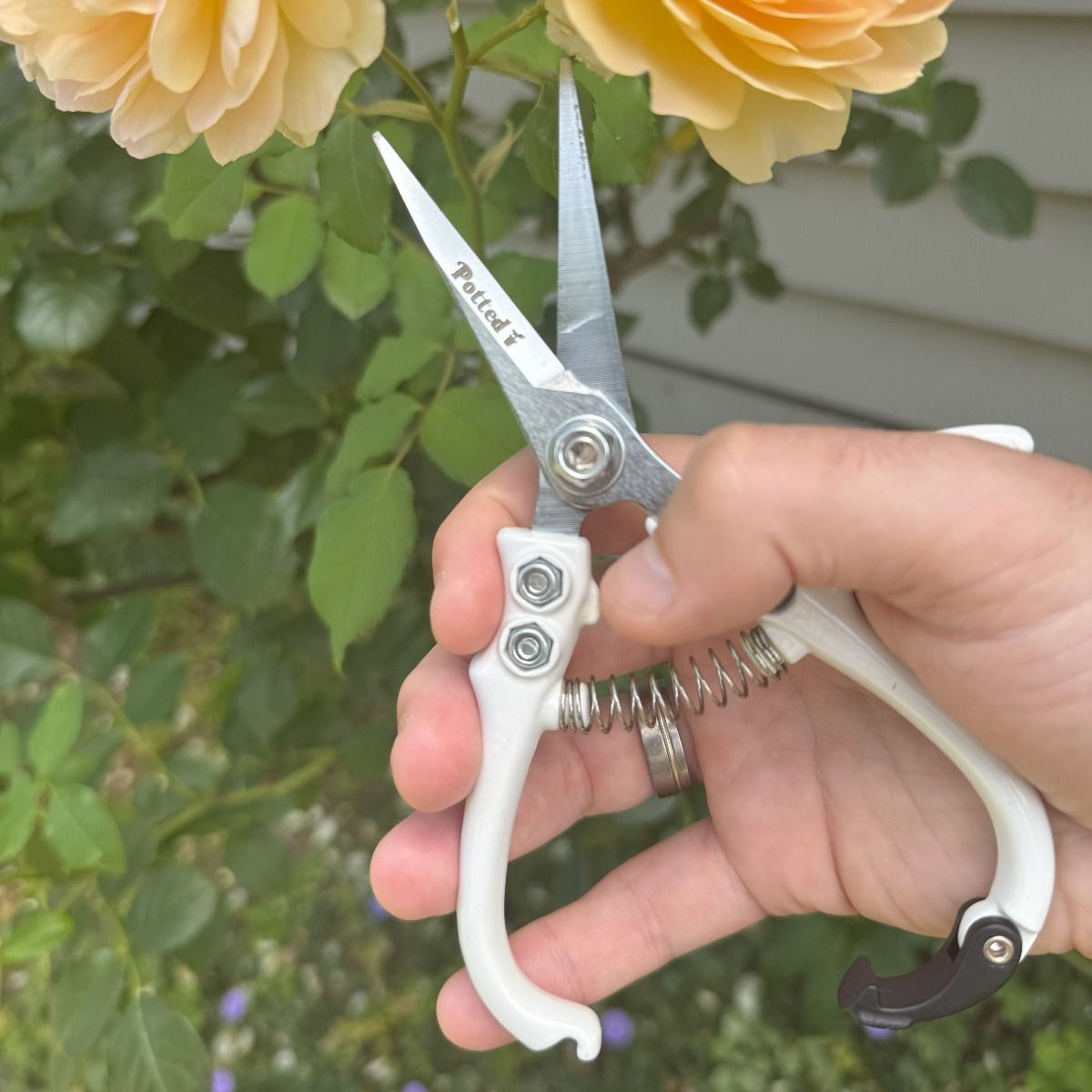 Potted Indoor Plant Snips - White