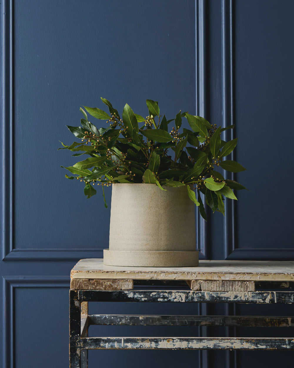 Robert Gordon Garden to Table Plant Pot &amp; Tray