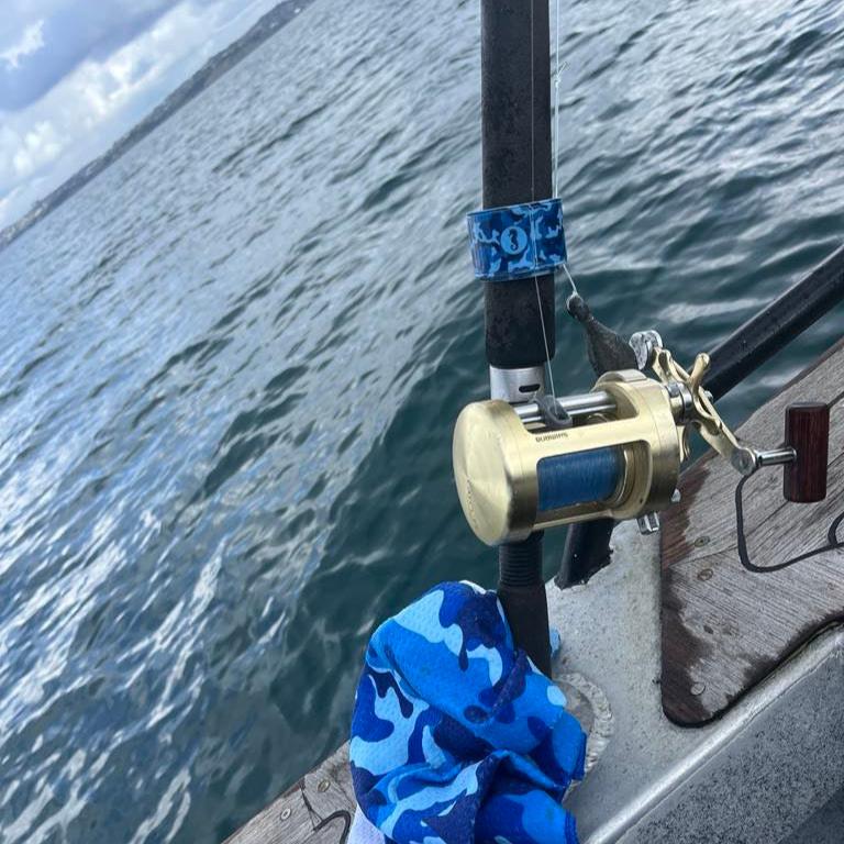 Tail Tag Fishing Identifying Tags