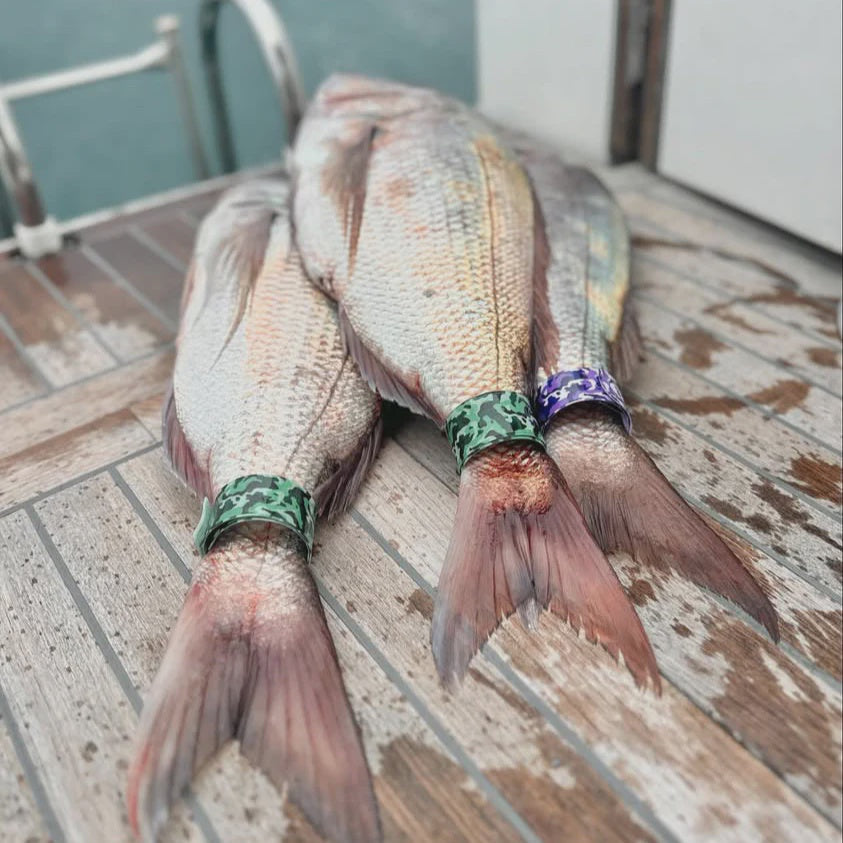 Tail Tag Fishing Identifying Tags