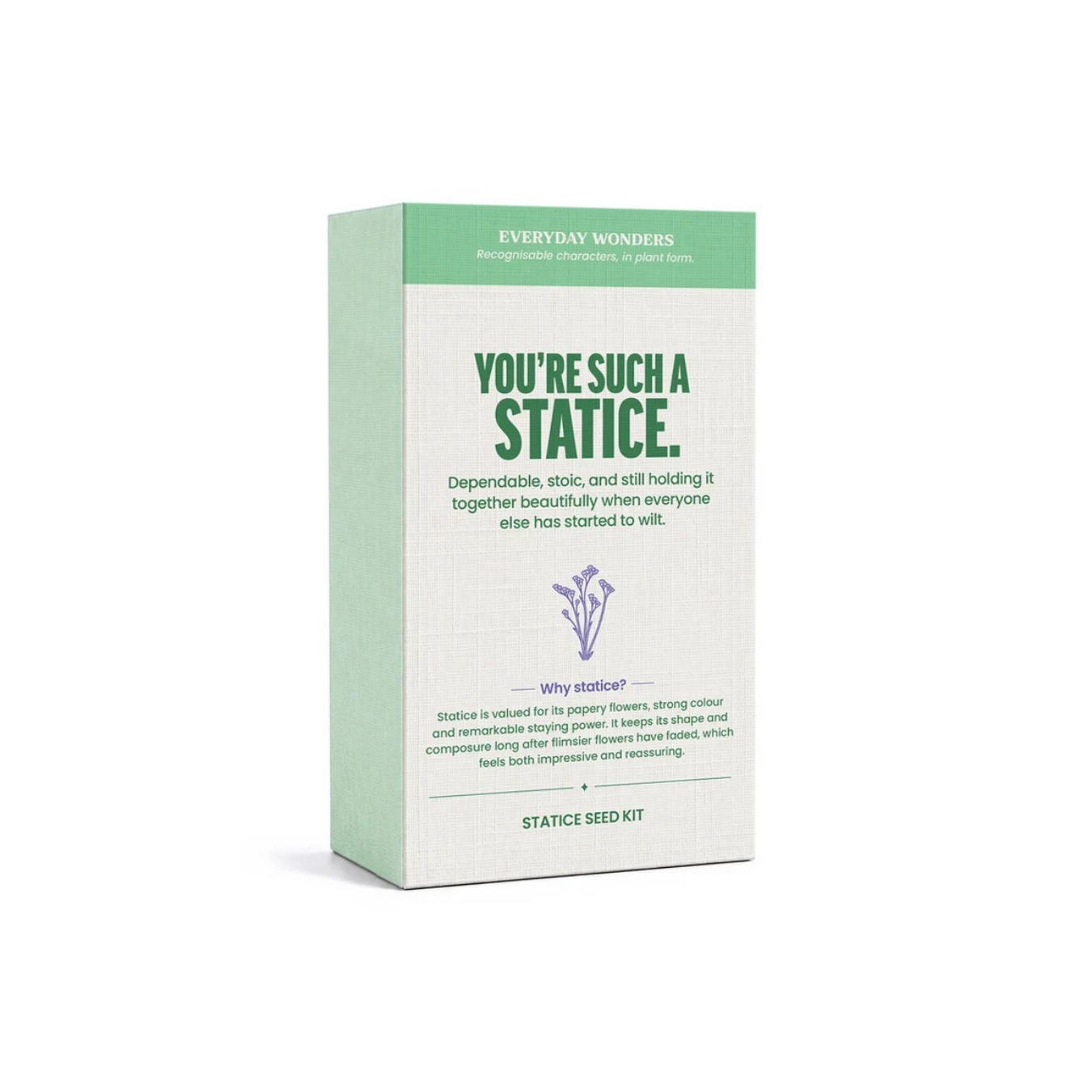 Everyday Wonders Seed Kits - Statice