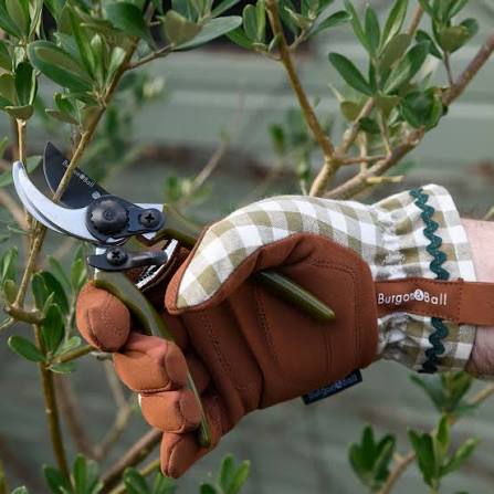 Burgon & Ball Gardening Gloves - Olive Check