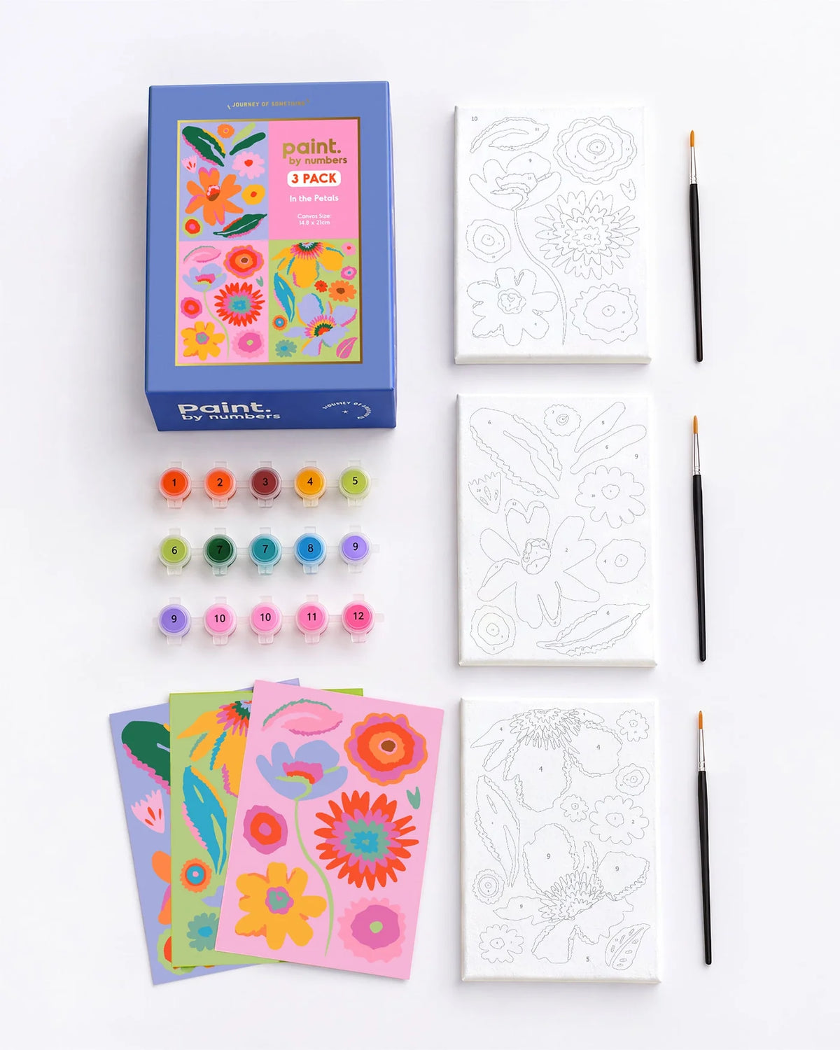Paint by Numbers - Into The Petals