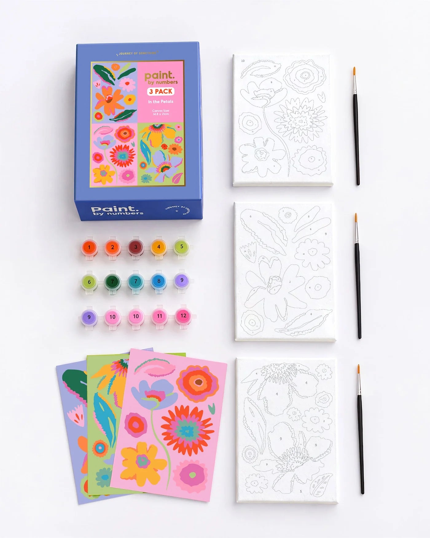 Paint by Numbers - Into The Petals