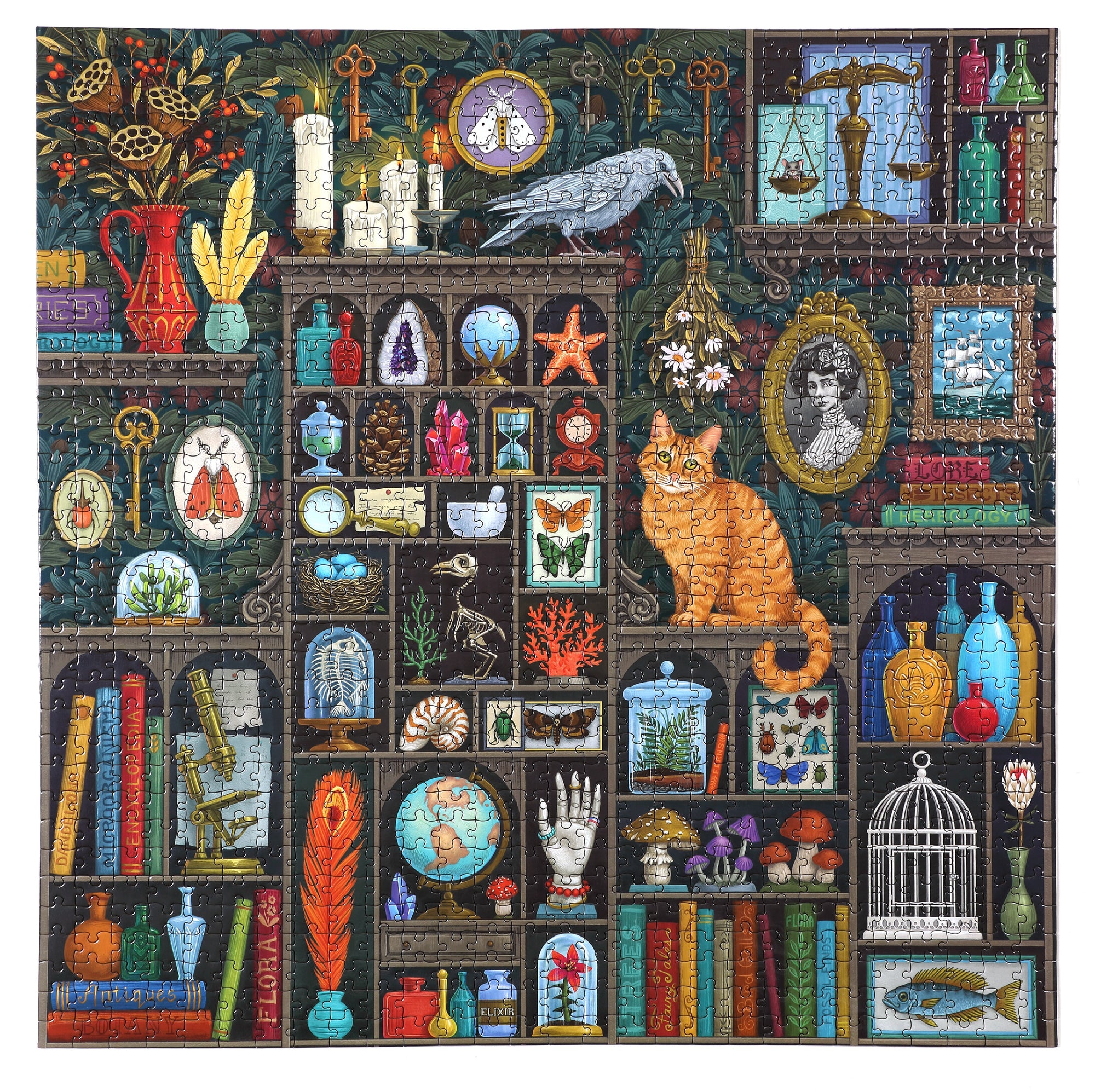 Eeboo Alchemist's Cabinet Puzzle - 1000 pieces