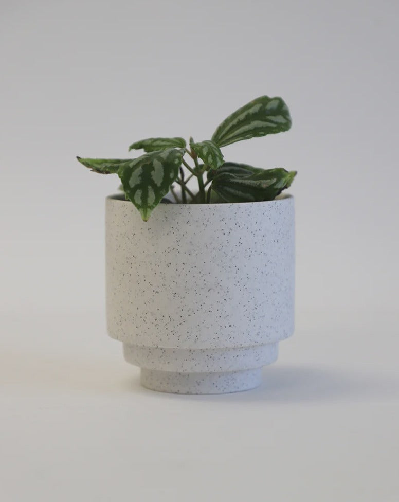 Griff Berkley Ceramic Speckled  Planter