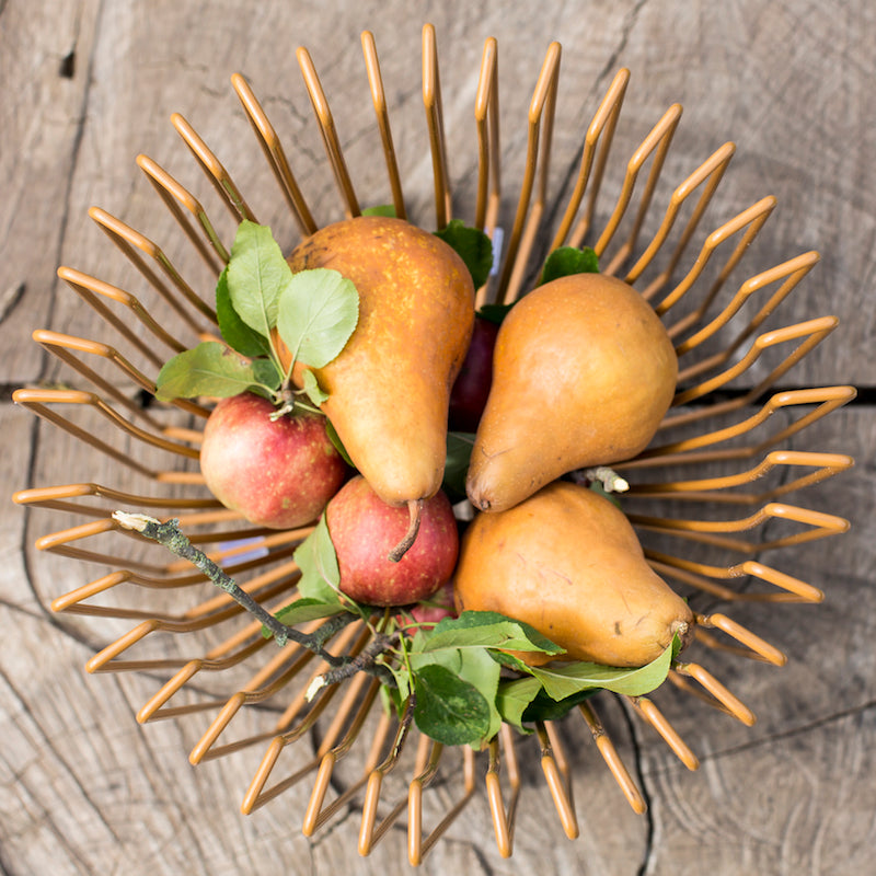 ICO TRADERS FRUIT BOWL, PLANT HOLDER, WIRE, tobacco, mustard