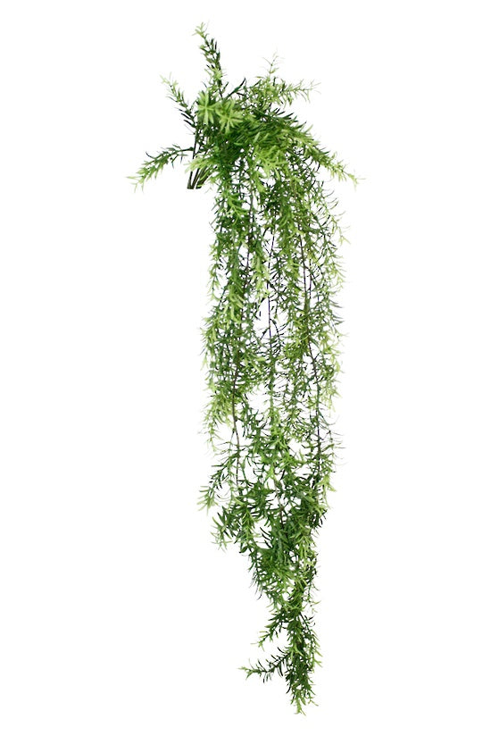 Faux Hanging Asparagus Grass - 104cm